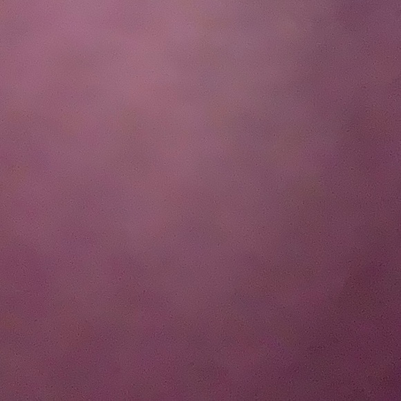 Meet your Posher, Mitzi - Picture 1 of 1